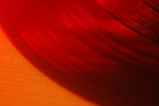 istock Classic Vinyl record, close-up fragment 2233943322