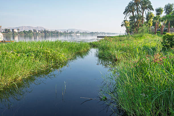 Panoramic landscape view across large river in africa with grass reeds in foreground