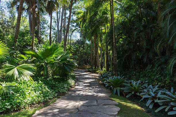 istock Serene garden pathway with tropical plants 2233954320