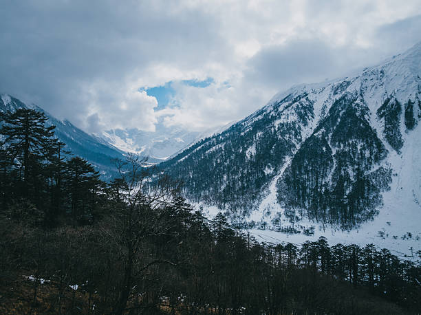 istock Beautiful high altitude snowcapped mountains and forest landscape 2233956544