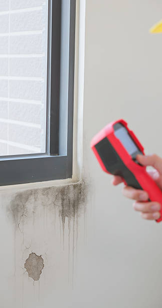 istock home inspector use thermal imager 2233959125