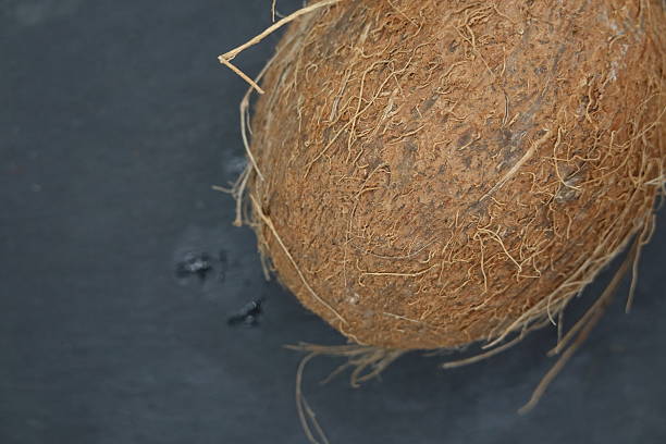 istock Whole coconut resting on dark grey surface with fibers showing 2233959426