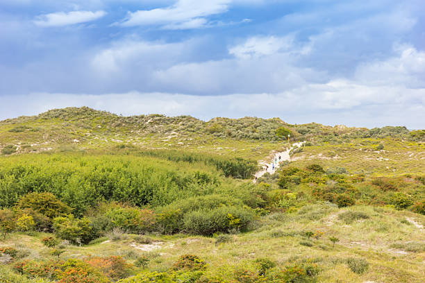 View over the dune landscape of Borkum, Germany