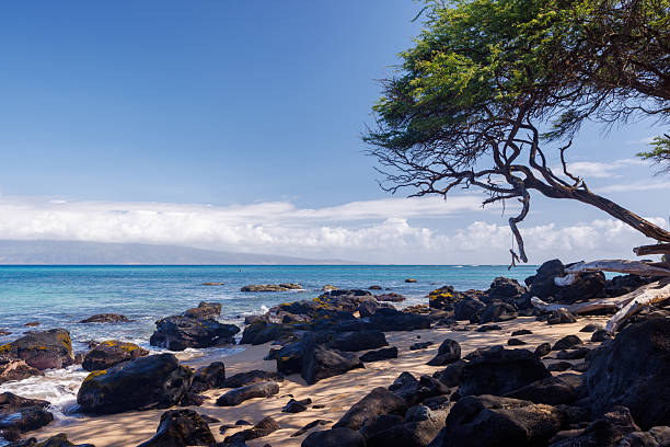 istock Beautiful Maui landscape in Hawaii 2233971314