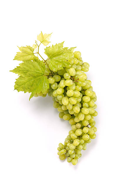 istock Fresh grapes lying on a white background, simple and clean food concept 2233972423