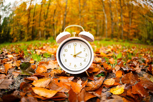 istock End of daylight saving time in autumn, alarm clock fall back switch, winter time changeover, forest with colorful foliage 2233972720