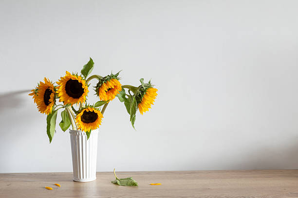 istock summer bouquet with sunflowers on background white wall 2233972847