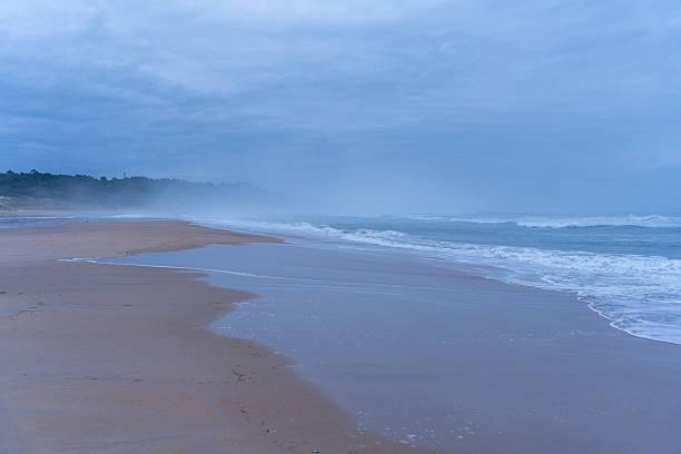 Gentle waves lapping against the sandy beach while morning mist rolls in, creating a serene and tranquil atmosphere along the coastline