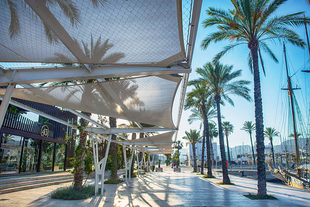 Promenade lined with palm trees and benches, overlooking the calm waters of the harbor in Cartagena, Spain