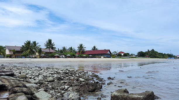 istock Rocky Beach Scene with Buildings and Palm Trees Under a Partly Cloudy Sky 2233977575