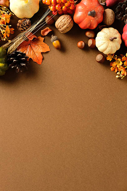 istock Festive autumn border with pumpkins, pinecones, hazelnuts, walnuts, acorns, dried leaves, wheat stalks, orange berries and warm flowers on brown backdrop. Ideal for fall or Thanksgiving designs. 2233982944