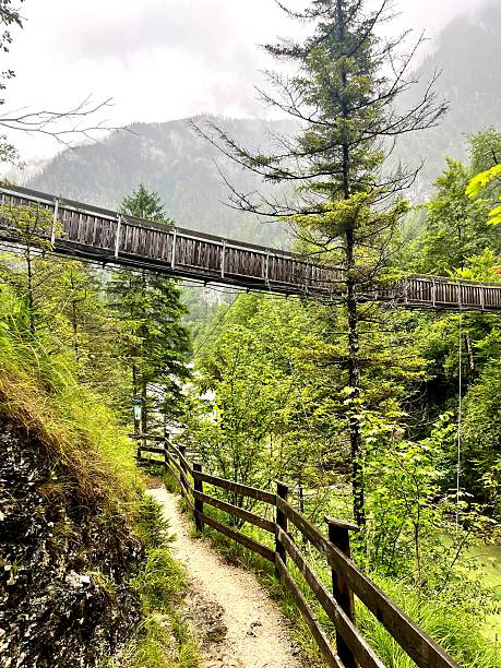 istock Suspension Bridge and Hiking Path in Landl, Austria 2233983329