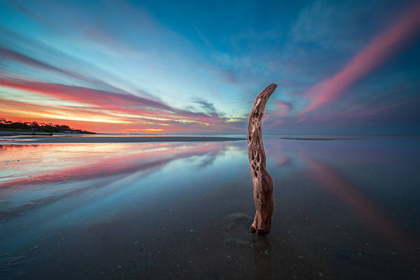 istock Driftwood on Beach at Vibrant Sunset 2233987841