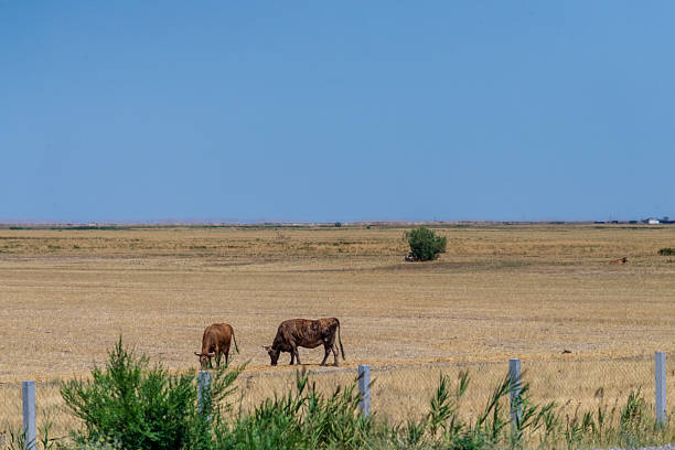 istock Impressions of Rural Kazakhstan 2233988421