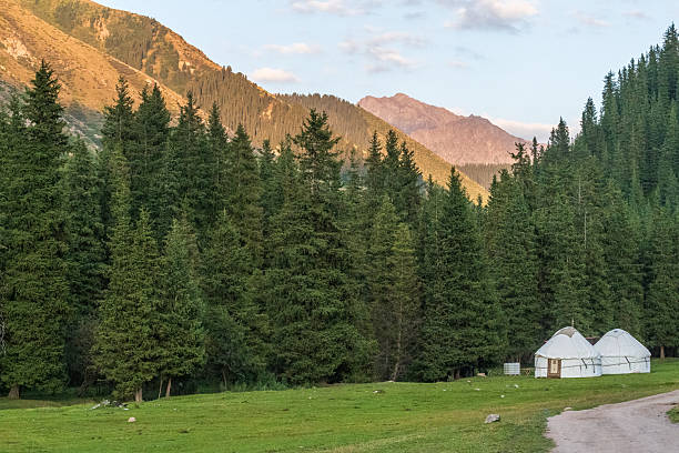 istock At the ecotrek Yurt Camp 2233988460