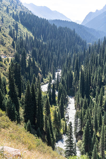 istock A visit to the Altyn-Arashan area 2233988493