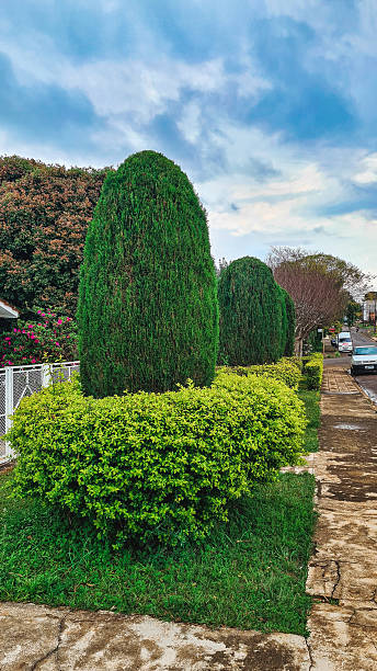 istock Laranjeiras do Sul City 2233990746