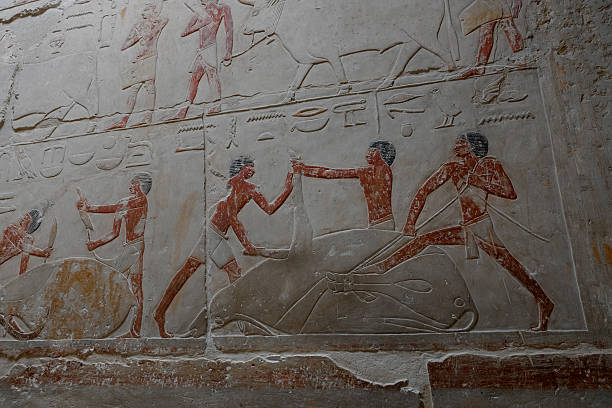 istock Egypt is a cradle of ancient civilization 2233994048