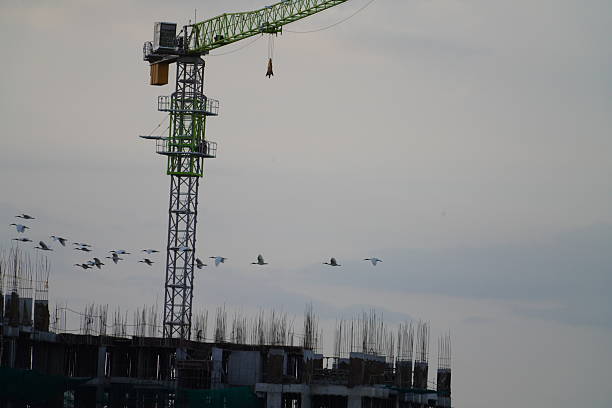 The water birds are flying high in the moody sky homeward in the evening. After a day's struggle for food, they got tired and are leaving to their nests for retirement for the day.