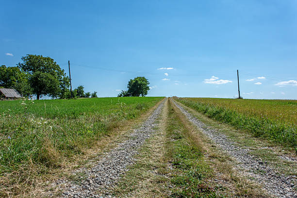 Straight unpaved farm road in open countryside stock photo