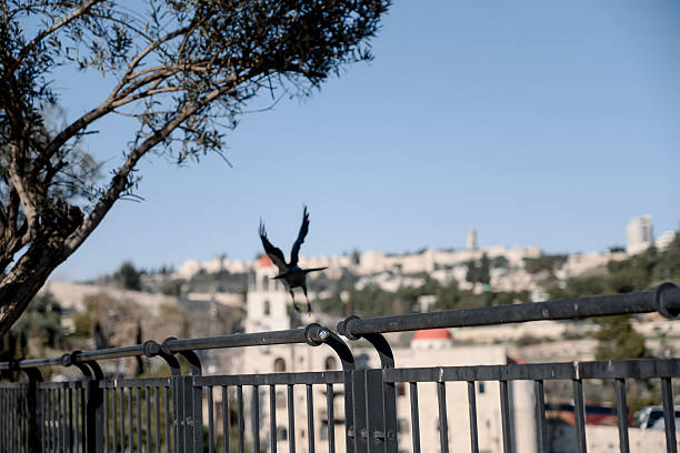 istock Israel tourism 2234000741