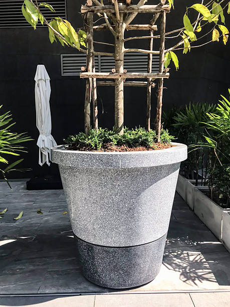istock Huge flowerpot decoration 2234000774