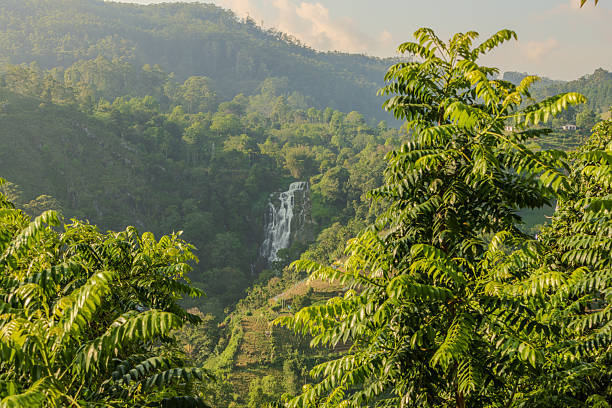 Gartmore waterfall among mountains and tea plantations. Sri Lanka, Maskeliya.
