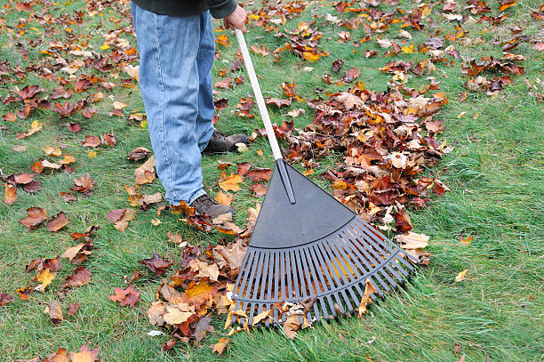 istock man working in the yard to clean fallen leaves by fan rake 2234014747