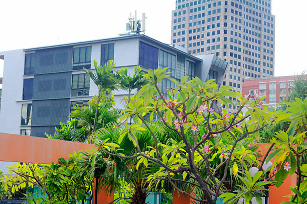 Tropical trees o rooftop garden in front of Bangkok downtown skyline near Asok and Exchange Tower