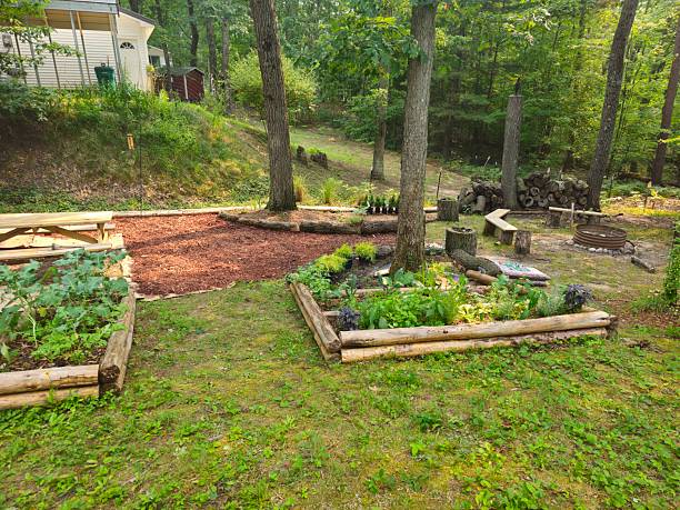 Community garden with vegetable plants in New York City
