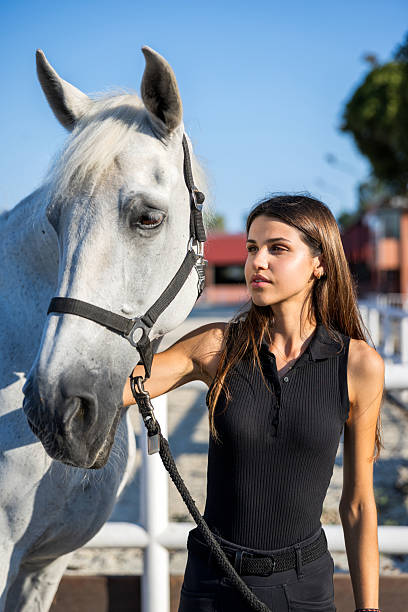 The tranquil while horse stands still to have its photo taken.