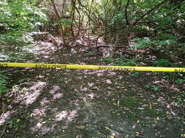 istock Caution tape in the woods 2234026324
