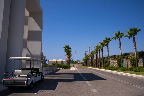 Palm tree lined road with golf cart on sunny day near hotel