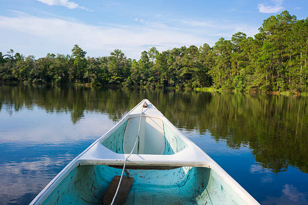 A beautiful day for paddling under a blue sky with white clouds surrounded by a deep green forest,  and reflections on the water from the perspective of a lone paddler in a blue and white canoe.