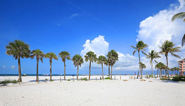 istock Palm Trees on Fort Myers Beach 2234035174