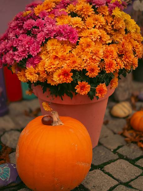 istock Rustic Autumn Arrangement with Pumpkin and Blooms 2234036927