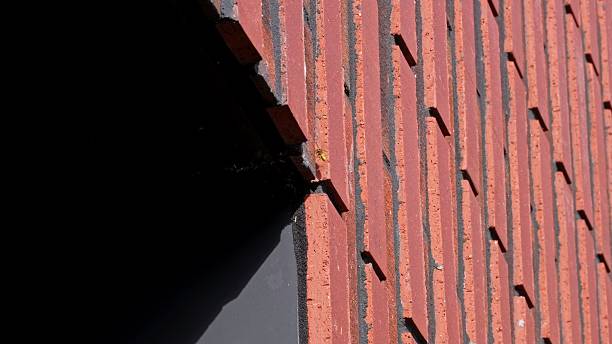 istock Dangerous Aggressive Wild Wasp Insects Flying In and Out from Hive Located Inside Building Facade 2234037657