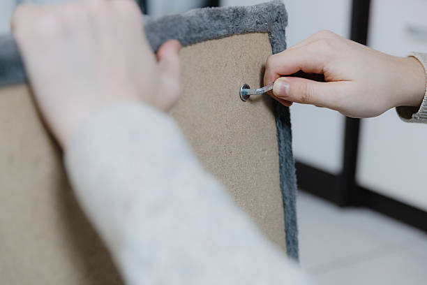 istock One person is assembling a new cat house at home. 2234038735