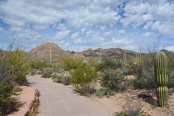 Big Bend National Park in Texas
