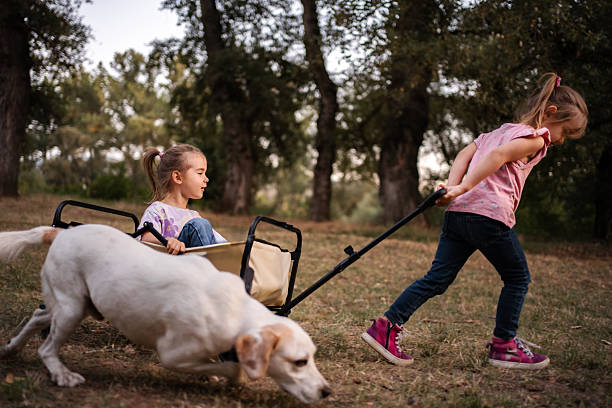 Two young girls pulling a cart with their dog and twin sister in a park