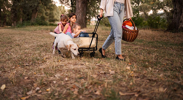 istock Mother pulling wagon with daughters and dog enjoying a picnic in the park 2234053833