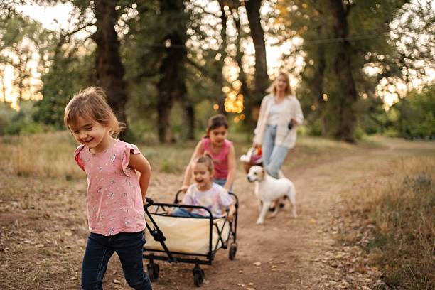 istock Happy children pulling wagon with their twin sisters in a forest path 2234053911