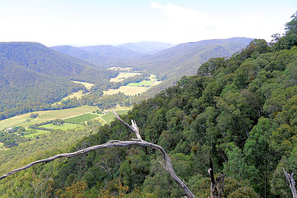 Powers Lookout Scenic Reserve, situated along the Mansfield-Whitfield Road in Victoria, offers breathtaking panoramic views of the King Valley and surrounding alpine peaks. This historic site was the hideout of the 1860s bushranger Harry Power, who mentored a young Ned Kelly . Visitors can enjoy two lookout points: one wheelchair-accessible at the car park and another reached via a short adventure through caves and rock formations using ladders and walkways . The reserve also features a 20-minute walk to Harry’s Watering Hole, picnic facilities, and opportunities to spot wildlife like wedge-tailed eagles