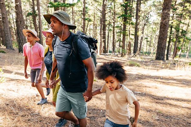 istock From Forest Paths to Family Laughs: Why Hiking Heals Us 2234063347