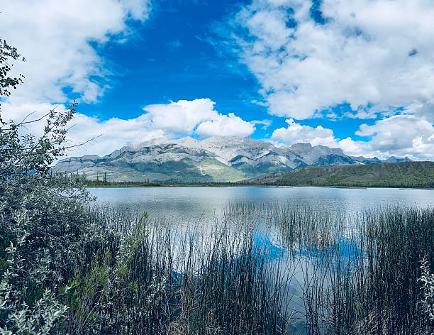 Jasper Canadian Rockies Roche Miette