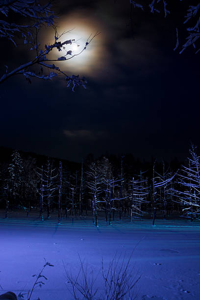 istock Blue pond on a winter's night in Biei 2234066469