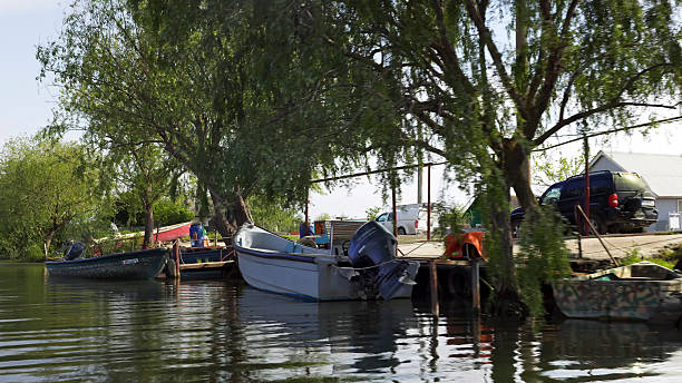 Several boats are docked along a peaceful riverbank in the Danube delta rural area, featuring lush greenery and calm waters. Trees are providing shade while vehicles are parked nearby, creating a serene atmosphere.