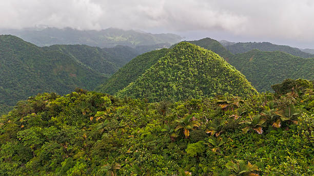 istock Verdant Hills and Dense Vegetation in Dominica 2234072857