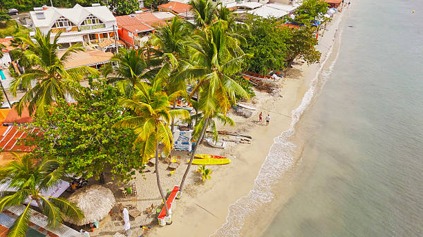 A vibrant beach scene on Dominica is featuring palm trees and colorful kayaks along the shoreline. People are strolling along the sandy beach near the calm water, enjoying the tropical setting.