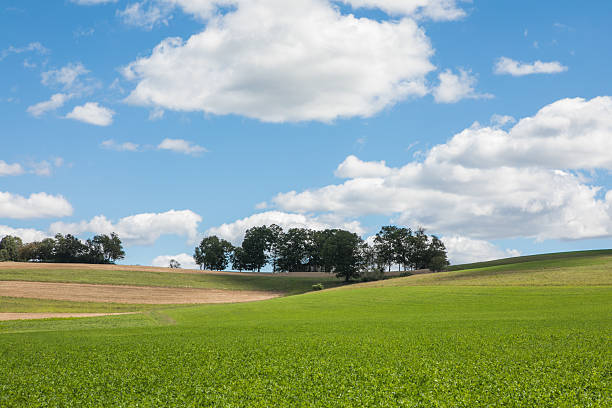 istock Scenic meadow and rolling hills under blue sky, USA 2234079293